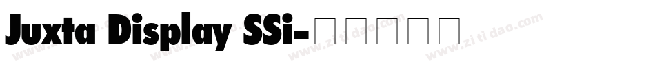 Juxta Display SSi字体转换